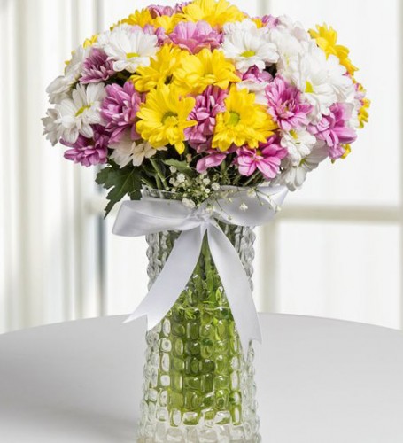 Vazoda Renkli Papatyalar Çiçek Aranjmanı